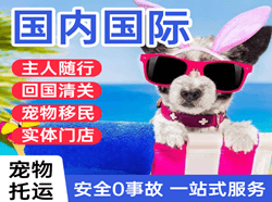 扎兰屯机场空运国际宠物托运 【国